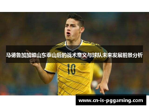 马德鲁加加盟山东泰山后的战术意义与球队未来发展前景分析