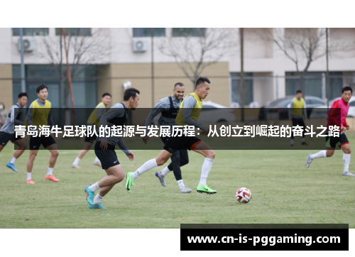 青岛海牛足球队的起源与发展历程:从创立到崛起的奋斗之路 青岛海牛足球队的起源与发展历程:从创立到崛起的奋斗之路